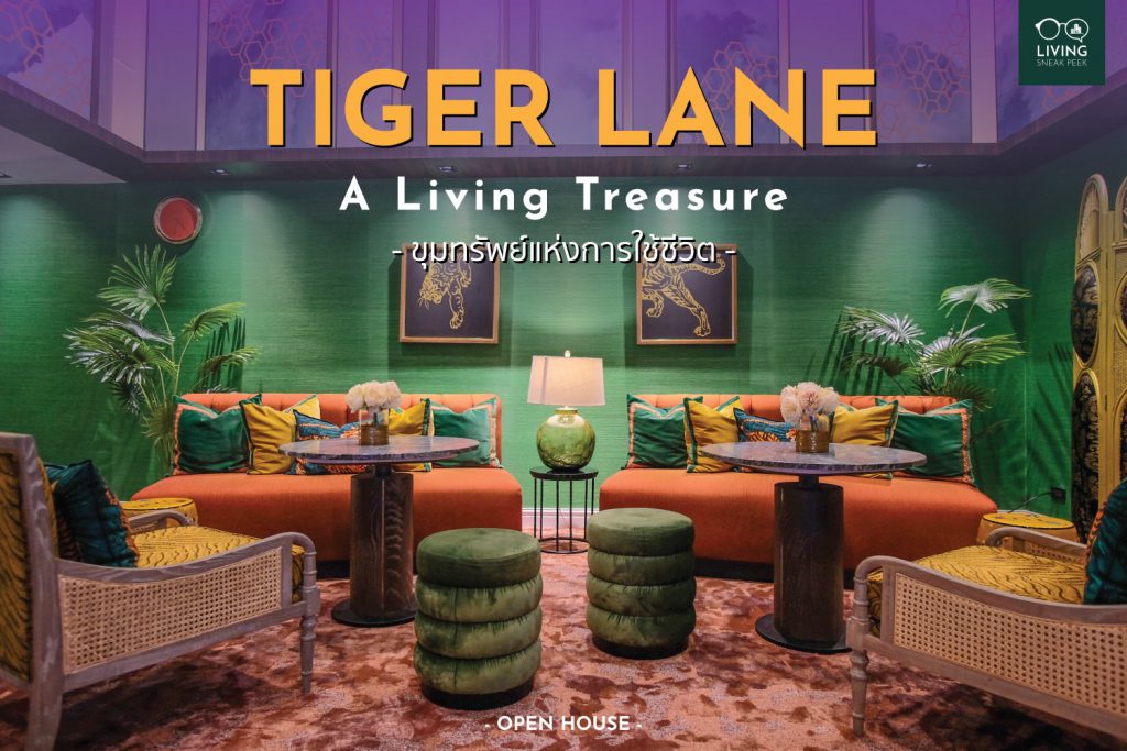Tiger Lane (ไทเกอร์ เลน)