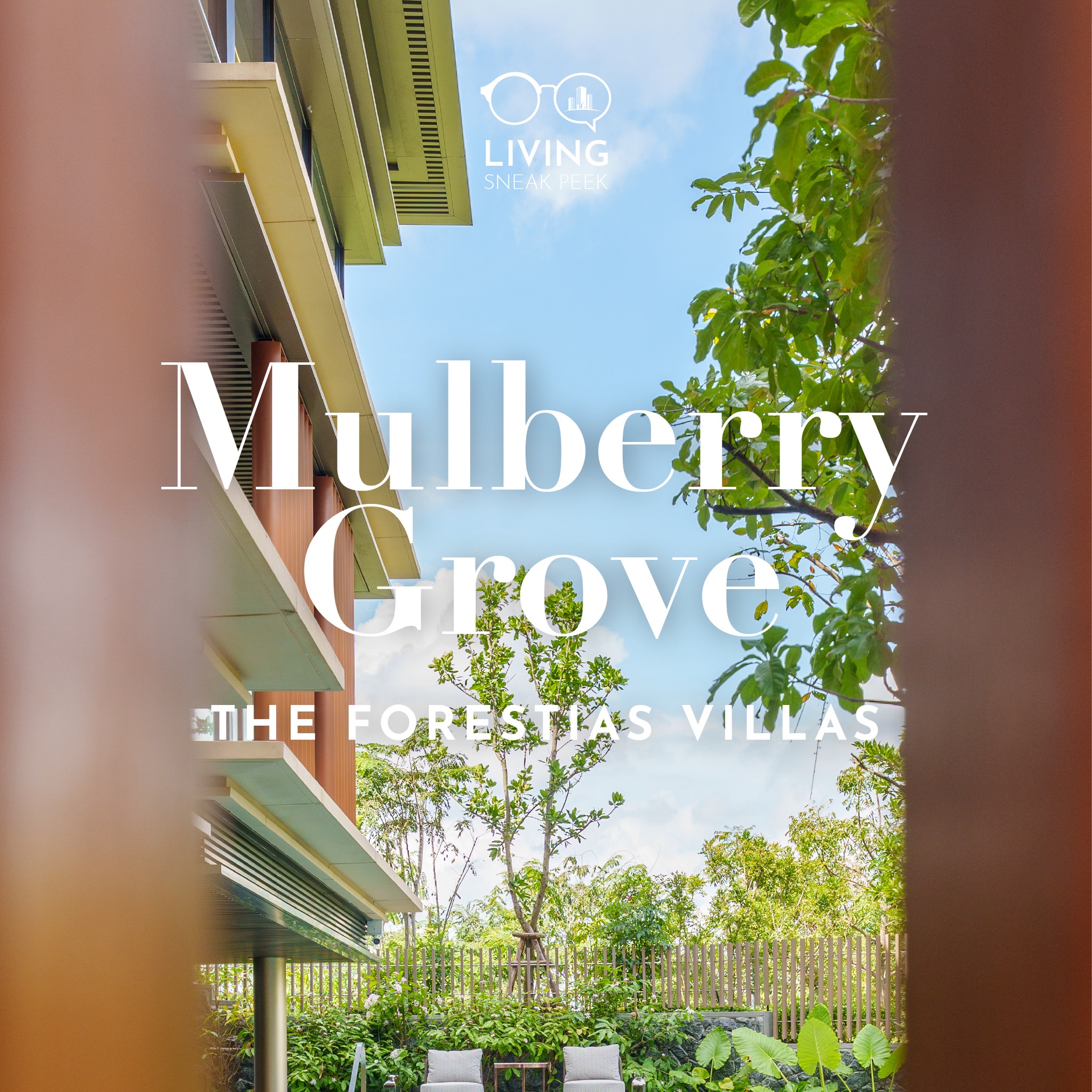 Mulberry Grove The Forestias Villas