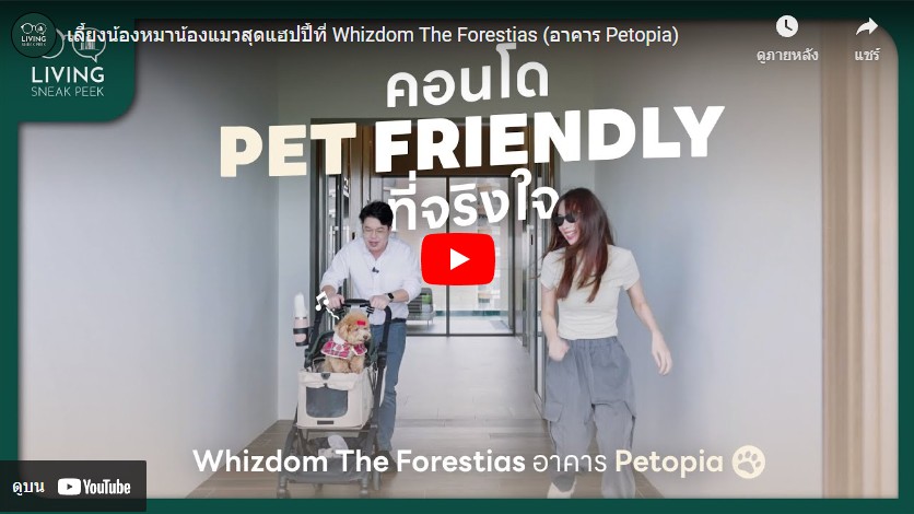 Whizdom The Forestias