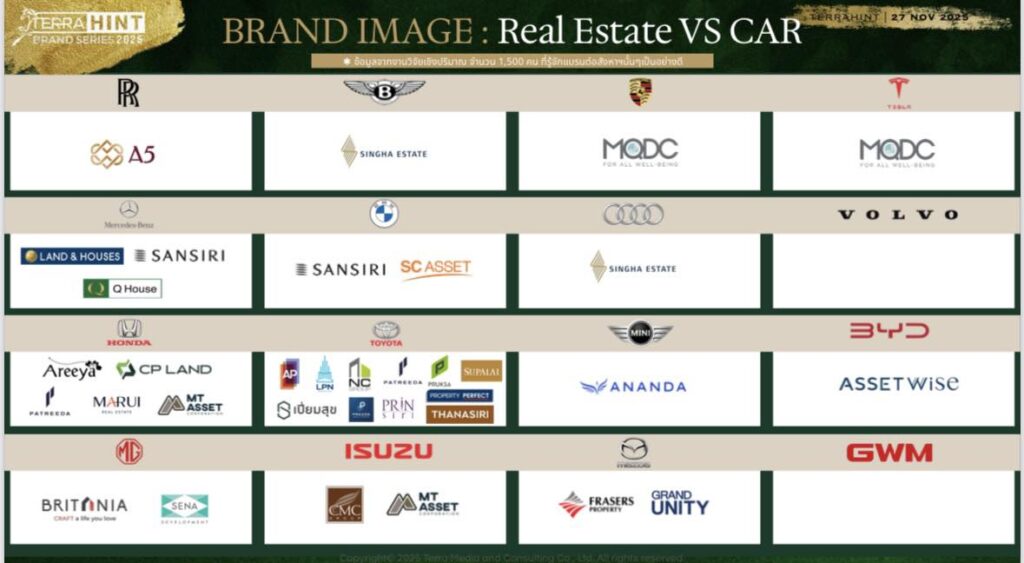 TerraHint Brand Series 2025