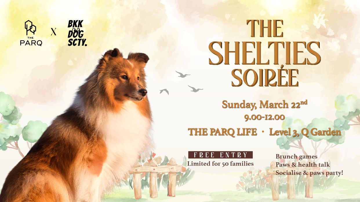 The Shelties Soiree Main KV