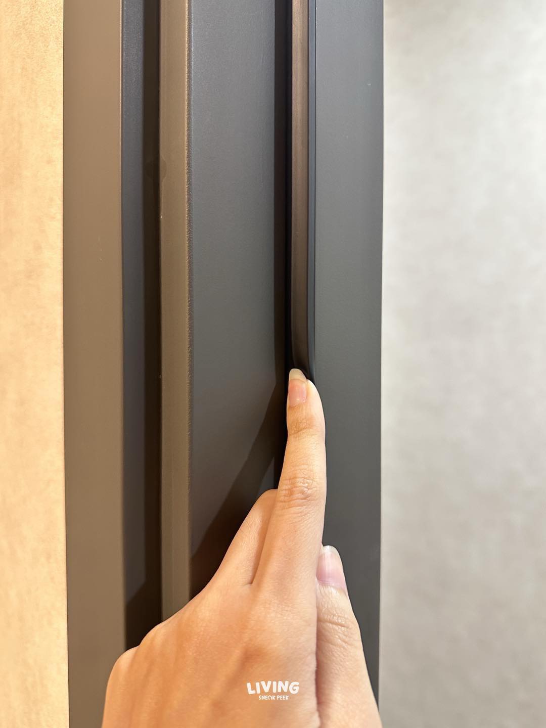 ซีลยางประตู ของคนอยากเลี้ยงสัตว์ในคอนโด