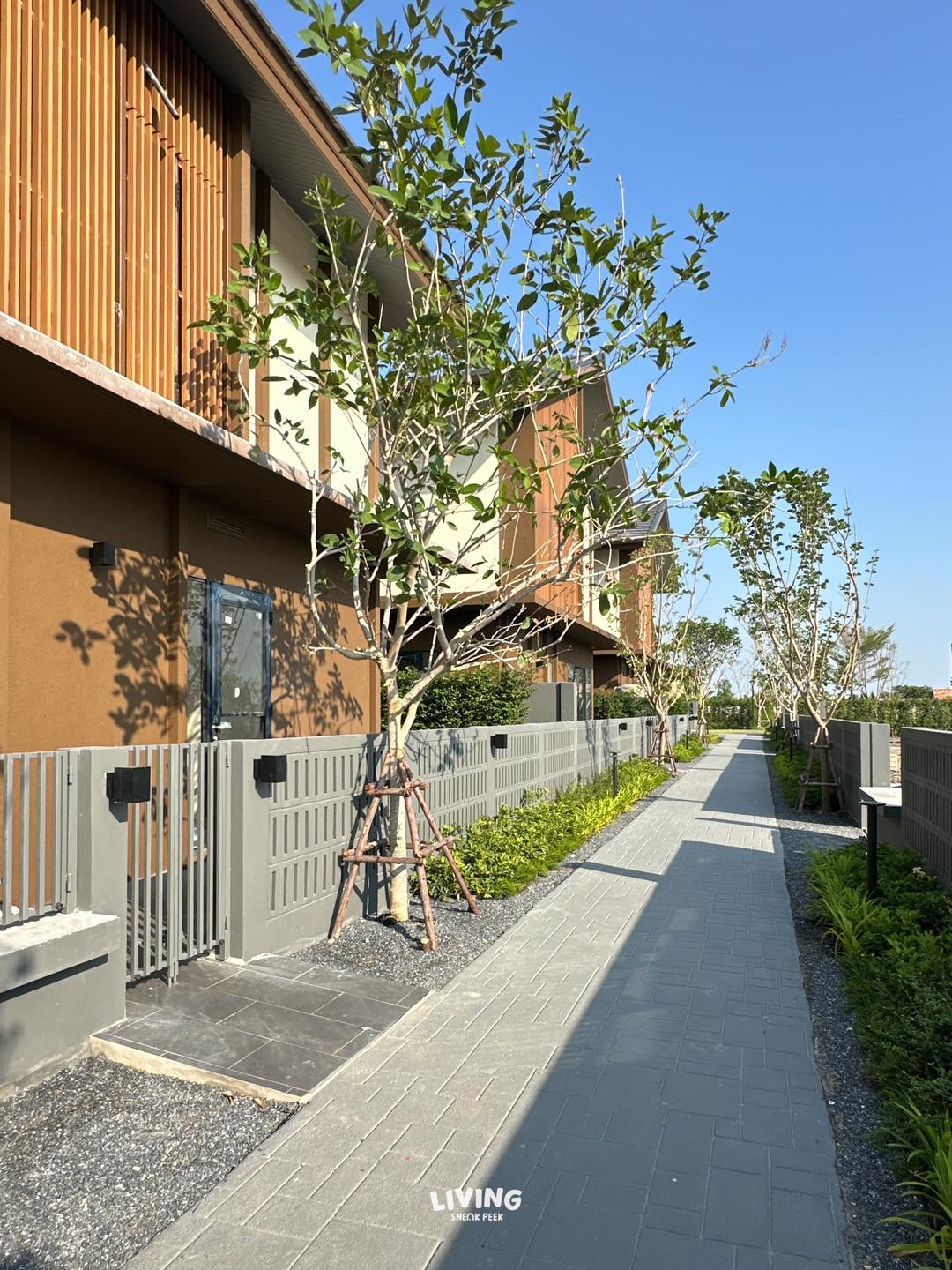 พื้นที่หลังบ้าน Backyard บ้านเดี่ยวพระราม 2 - Essentia Rama 2