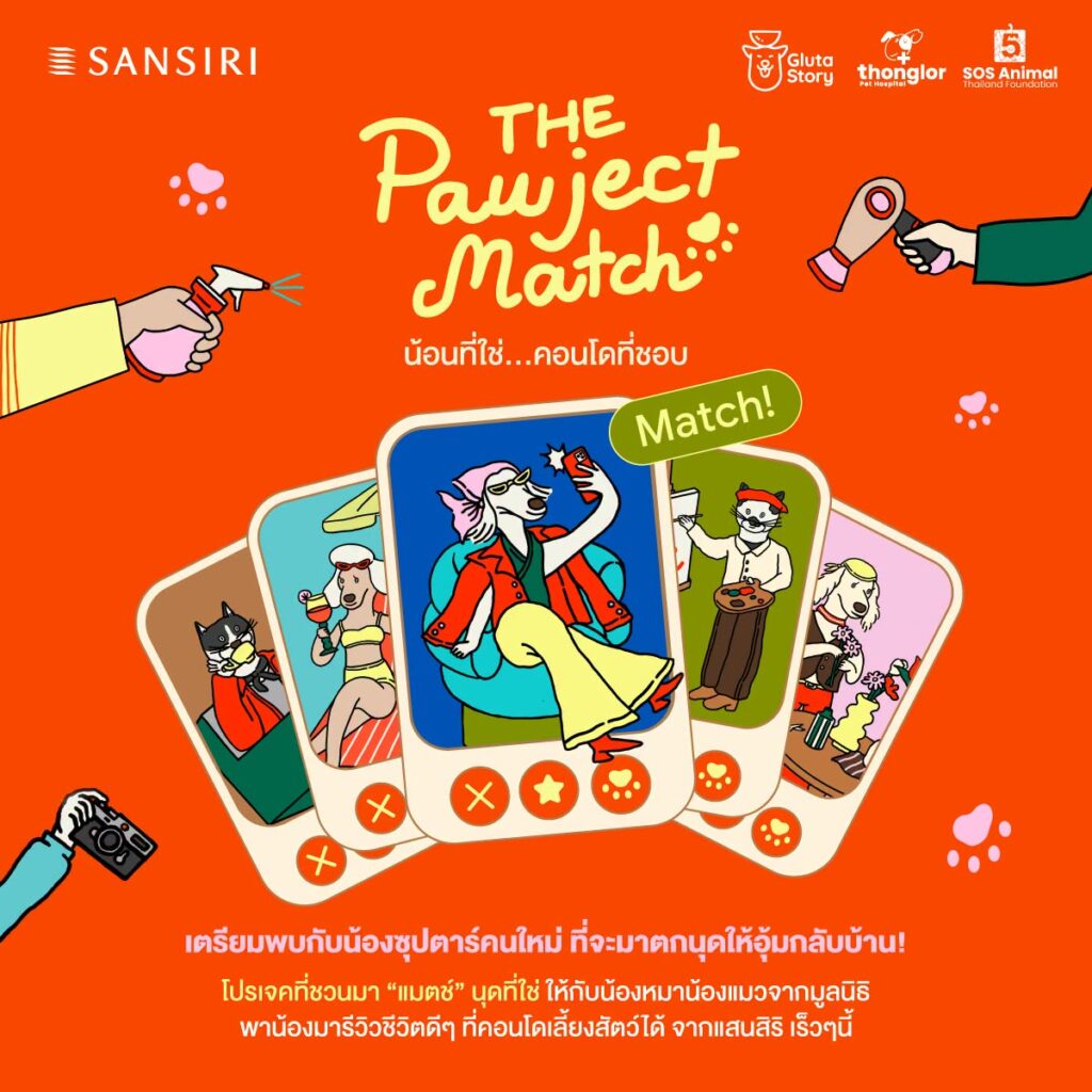 The Pawject Match