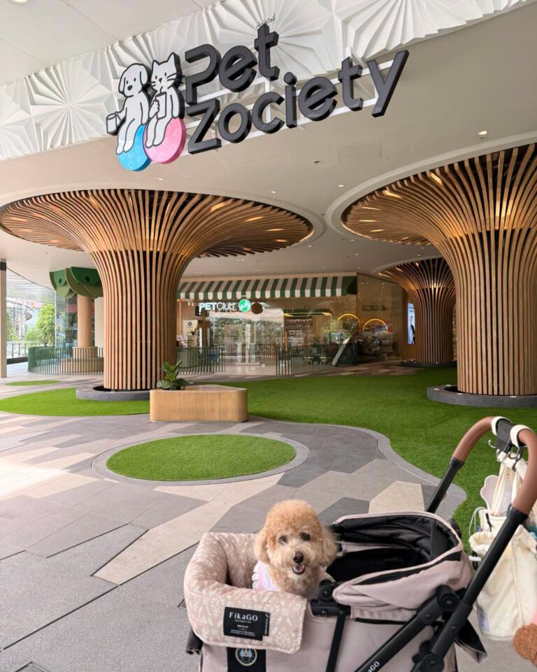 Future Park & Zpell โซนใหม่ Pet Zociety