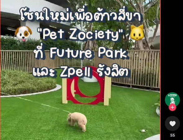 pet zociety future park