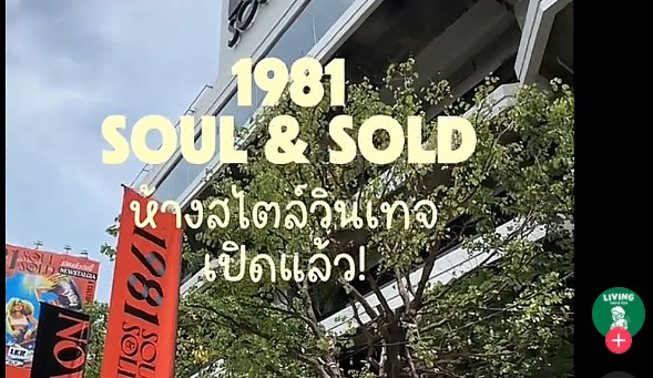 1981 soul