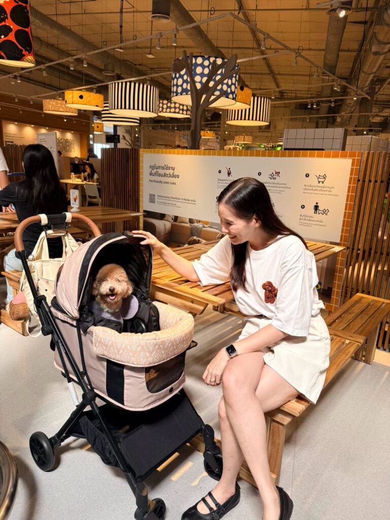 โซนสัตว์เลี้ยง - อิเกีย เมกาบางนา
