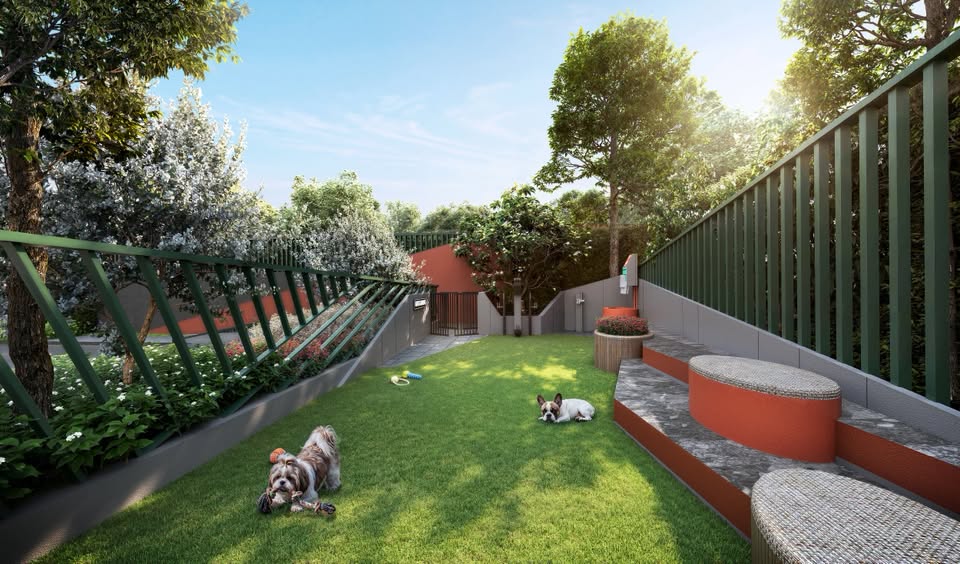 มี Pet Backyard