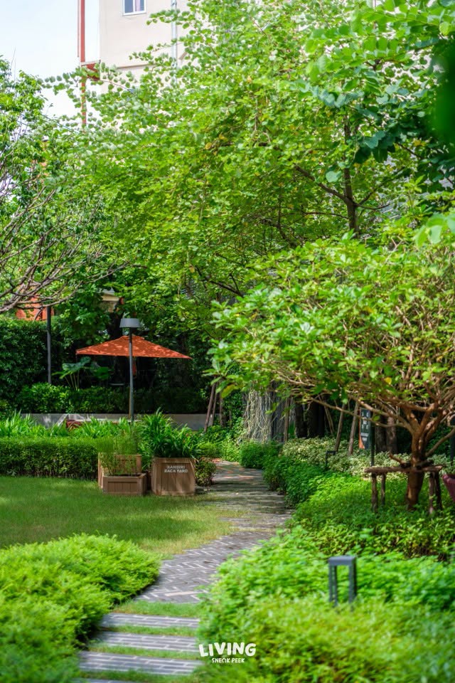 มีมุมร่มรื่นในสวนด้านหน้าโครงการ มาพร้อมกับผักสวนครัวรั้วกินได้ Sansiri Backyard