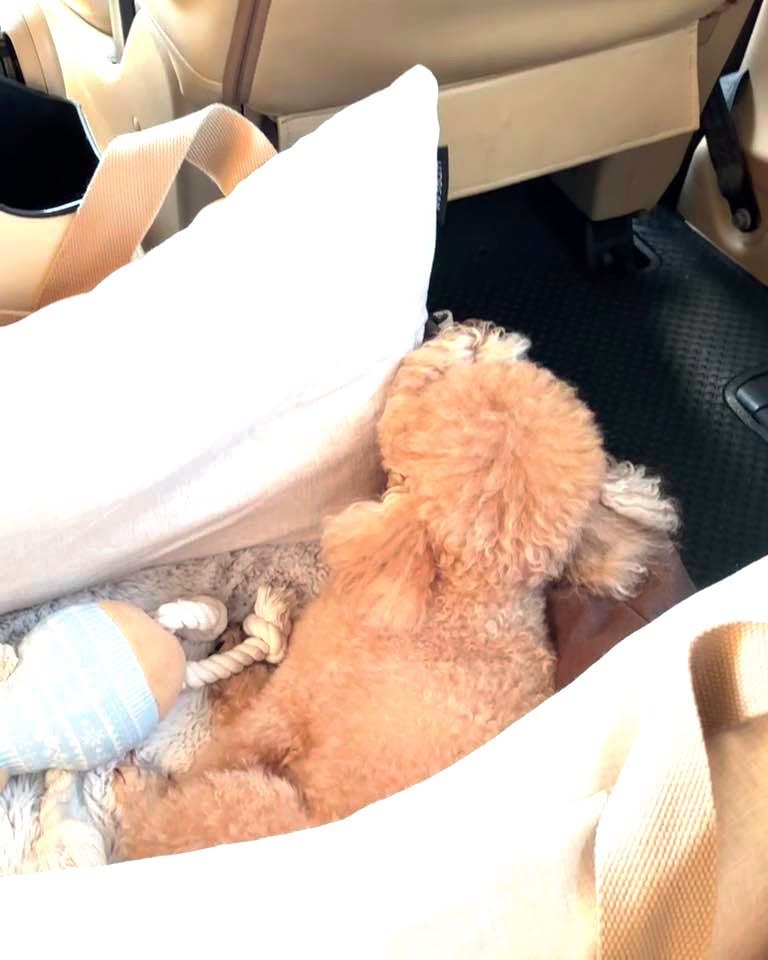 โชคดี Carseat ที่พ่อถอยมาใหม่ใช้งานได้ 55 ปกติไม่ค่อยยอมนอนง่ายๆ