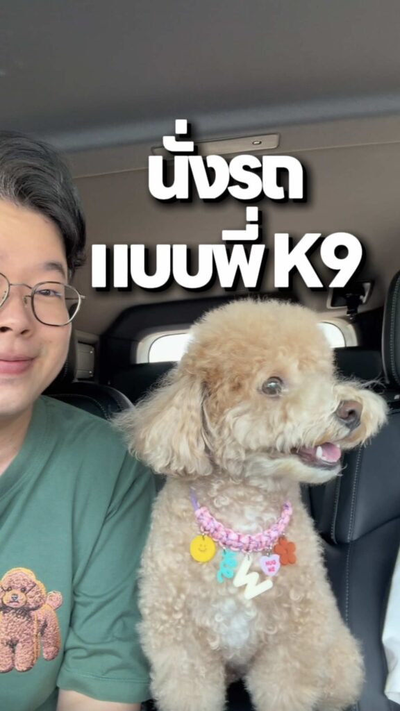 พาวิ้งกี้นั่งรถ Chery V23 แบบพี่ K9